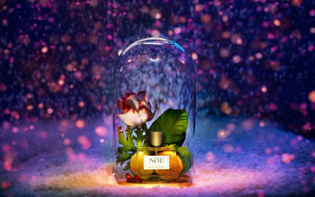 Jak przechowywać perfumy aby zachowały jak najdłużej świeżość?