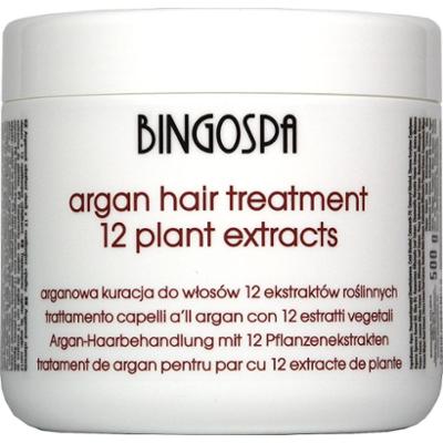 Arganowa kuracja do włosów 500 g BINGOSPA