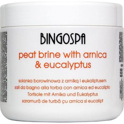 Solanka borowinowa z arniką i eukaliptusem BINGOSPA
