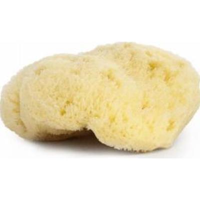 Organiczna gąbka z Morza Śródziemnego 9-10cm Najel