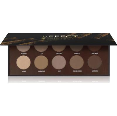 Affect Color Brow Colection paletka do brwi 10x2 g