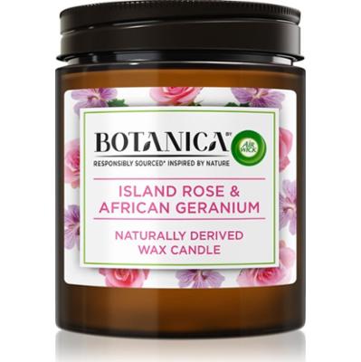 Air Wick Botanica Island Rose & African Geranium świeczka zapachowa z różanym aromatem 205 g