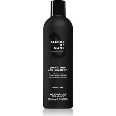 Alfaparf Milano Blends of Many Energizing szampon energetyzujący do włosów cienkich i delikatnych 250 ml