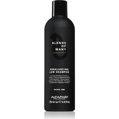 Alfaparf Milano Blends of Many Rebalancing szampon przeciwłupieżowy 250 ml