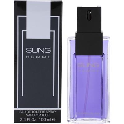 Alfred Sung Sung for Men woda toaletowa dla mężczyzn 100 ml