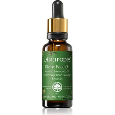 Antipodes Divine Face Oil Rosehip & Avocado Oil serum ochronne przeciw pierwszym oznakom starzenia skóry 30 ml