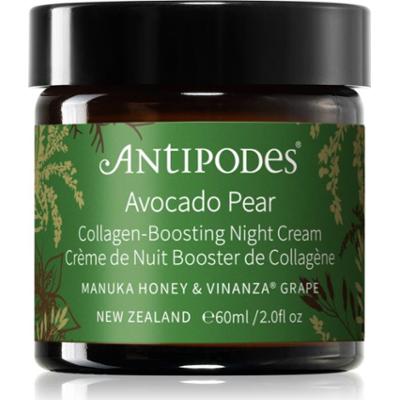 Antipodes Avocado Pear Collagen-Boosting Night Cream krem odżywczy na noc do twarzy 60 ml