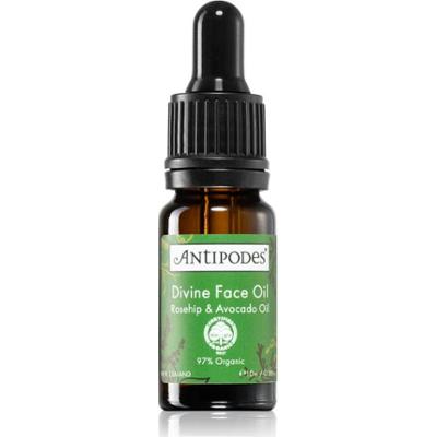 Antipodes Divine Face Oil Rosehip & Avocado Oil serum ochronne przeciw pierwszym oznakom starzenia skóry 10 ml