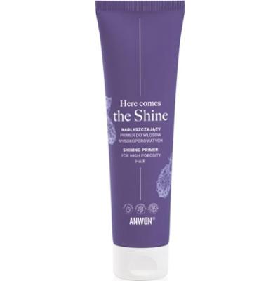 Anwen Here Comes The Shine Shining Primer For High Porosity Hair baza pod makijaż do włosów 100 ml