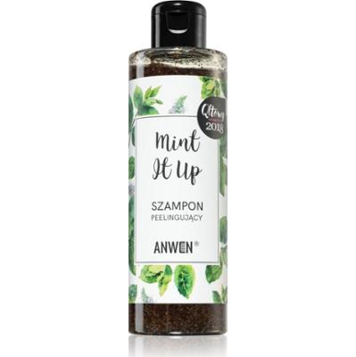 Anwen Mint It Up szampon złuszczający 200 ml