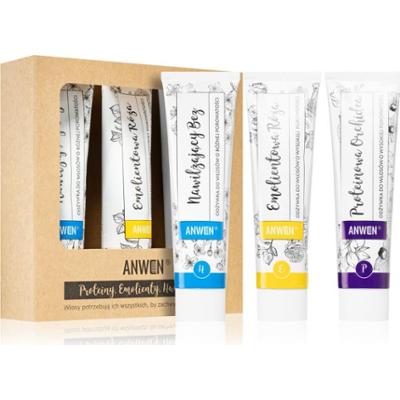 Anwen Proteins . Emollients . Humectants odżywka do codziennego stosowania wygodne opakowanie 3 x100 ml High porosity