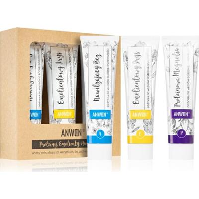 Anwen Proteins . Emollients . Humectants odżywka pielęgnująca wygodne opakowanie 3 x 100 ml Medium porosity