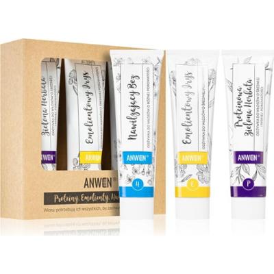 Anwen Proteins . Emollients . Humectants odżywka do włosów wygodne opakowanie 3 x 100 ml Medium Porosity