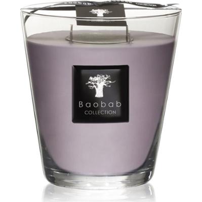 Baobab Collection All Seasons White Rhino świeczka zapachowa 1000 g