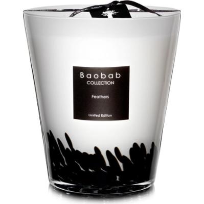 Baobab Collection Feathers świeczka zapachowa 1000 g