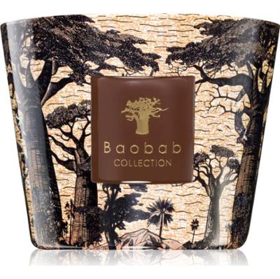 Baobab Collection Sacred Trees Mankono świeczka zapachowa 500 g