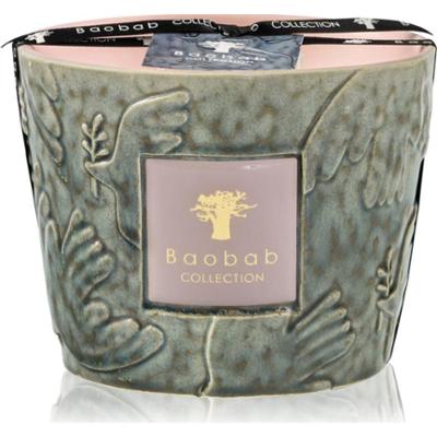 Baobab Collection Paz Colombe świeczka zapachowa 500 g
