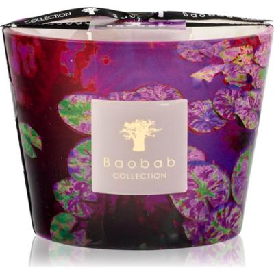 Baobab Collection Arty Flowers Water Lily świeczka zapachowa 500 g