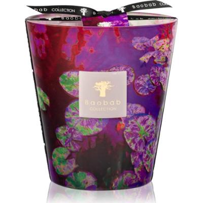 Baobab Collection Arty Flowers Water Lily świeczka zapachowa 1000 g