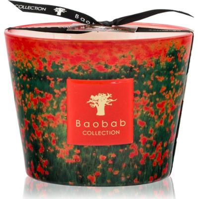 Baobab Collection Arty Flowers Poppies świeczka zapachowa 500 g