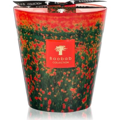 Baobab Collection Arty Flowers Poppies świeczka zapachowa 1000 g