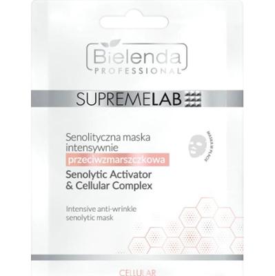 Bielenda Professional Supremelab Cellular maseczka w płachcie przeciw zmarszczkom 1 szt.