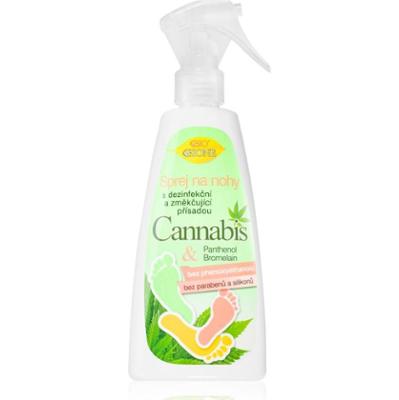Bione Cosmetics Cannabis spray do nóg 260 ml