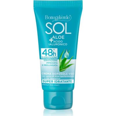 Bottega Verde Sol Aloe krem intensywnie nawilżający po opalaniu 50 ml