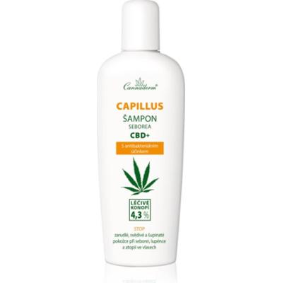 Cannaderm Capillus Seborea CBD+ Shampoo szampon przeciw łupieżowi 150 ml
