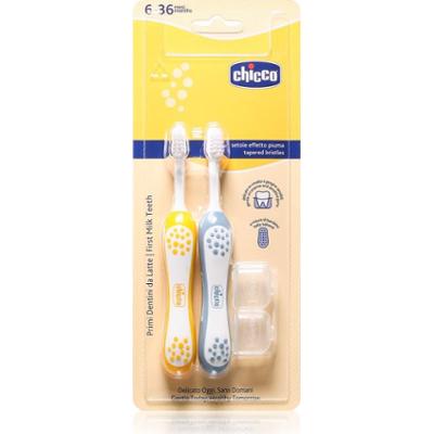 Chicco Toothbrush Set 6-36m szczoteczka do zębów dla dzieci Indigo-Mustard