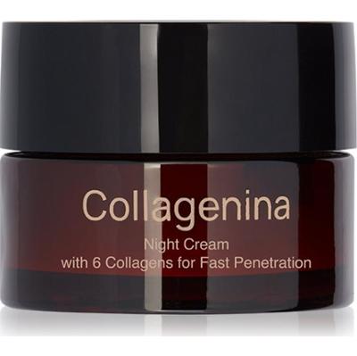 Collagenina Grade 1 Night Cream ujędrniający krem na noc z kolagenem 50 ml