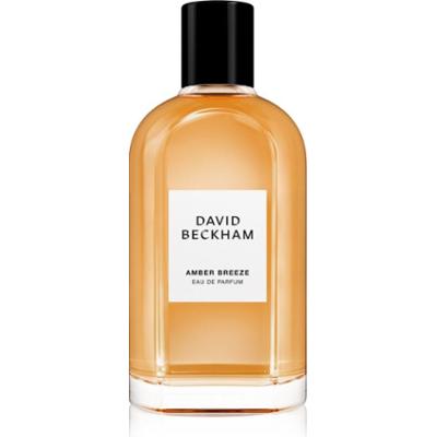 David Beckham Amber Breeze woda perfumowana dla mężczyzn 100 ml