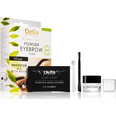 Delia Cosmetics Eyebrow Expert tonująca farbka do brwi odcień 1.0 Black 4 g