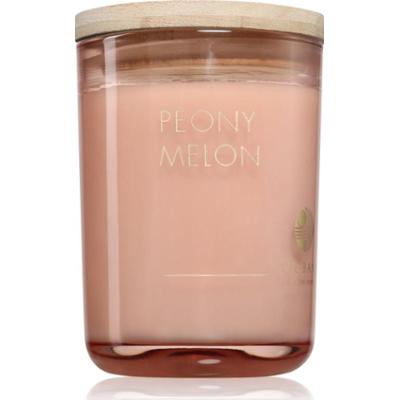 DW Home Ur•Bane Peony Melon świeczka zapachowa 215 g