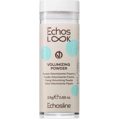 Echosline Volumizing powder puder matujący nadający objętość do włosów 2.5 g