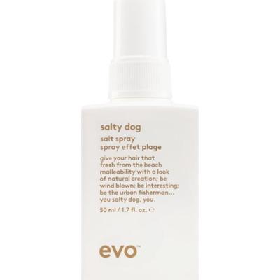 EVO Salty Dog Salt Spray słony spray dla efektu plażowego 50 ml