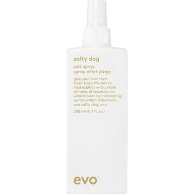 EVO Style Salty Dog słony spray do włosów 200 ml