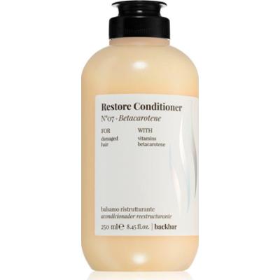 FarmaVita Backbar Restore odżywka głęboko regenerująca do włosów suchych i zniszczonych 250 ml