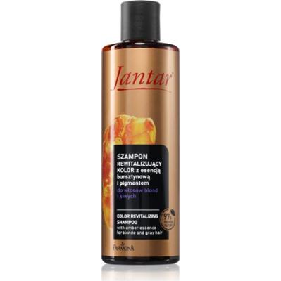 Farmona Jantar Amber Essence szampon rewitalizujący do blond i siwych włosów 300 ml
