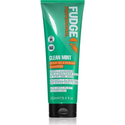 Fudge Clean Mint Shampoo szampon do włosów przetłuszczających się 250 ml