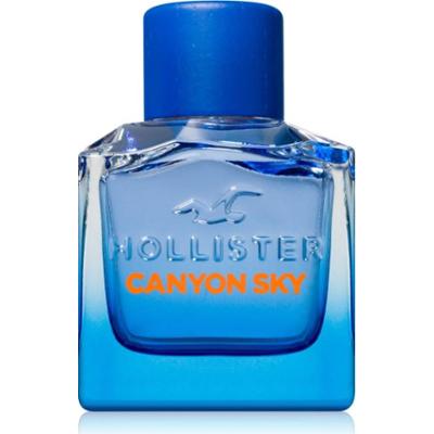 Hollister Canyon Sky For Him woda toaletowa dla mężczyzn 100 ml