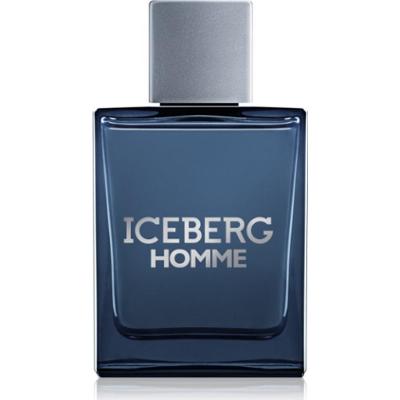 Iceberg Homme woda toaletowa dla mężczyzn 100 ml