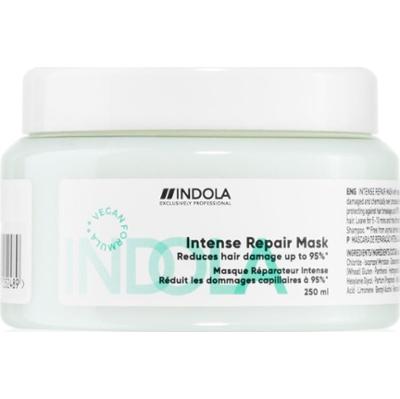 Indola Repair Intense Repair Mask maseczka wzmacniająca do włosów ekstremalnie zniszczonych 250 ml