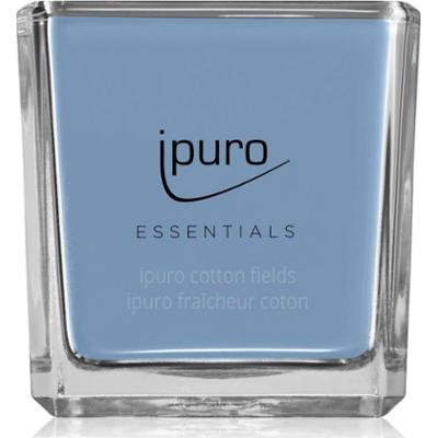 ipuro Essentials Cotton Fields świeczka zapachowa 125 g