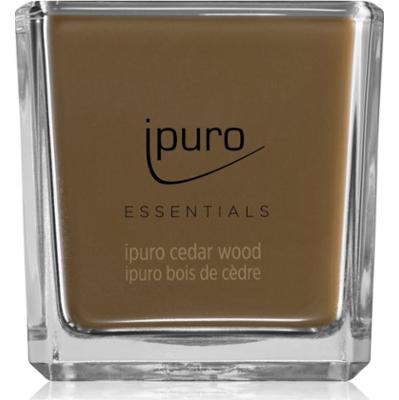 ipuro Essentials Cedar Wood świeczka zapachowa 125 g