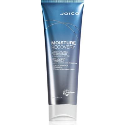 Joico Moisture Recovery odżywka nawilżająca do włosów suchych 250 ml