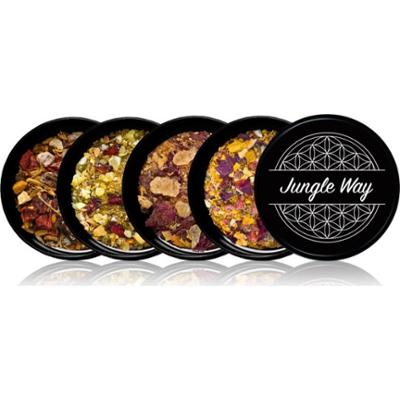 Jungle Way Discovery set Celebrate Your Love kominek zapachowy