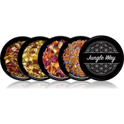 Jungle Way Discovery set Balance Your Space kominek zapachowy