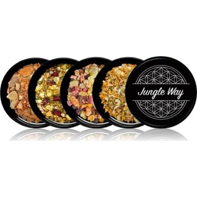 Jungle Way Discovery set Strengthen Your Masculinity kominek zapachowy
