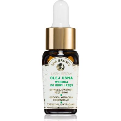 Lash Brow Spa Brows olejek regenerujący do brwi i rzęs 10 ml